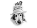第６回「Dog Illustration Ustream」モデル犬はとんちゃん@napa_pinoさんの愛犬「なぱちゃん」